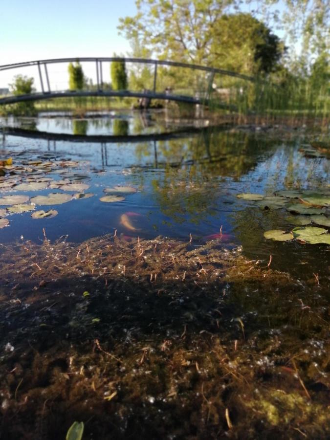 Готель Oasi Bianca Pomposa Екстер'єр фото